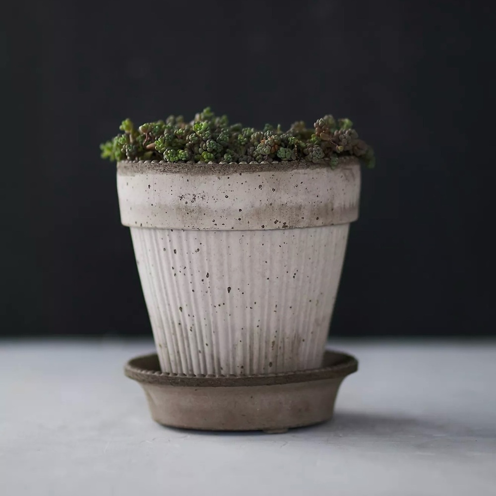Bergs Gray 6” Simona Terracotta Planter with Saucer - Picture 6 of 7